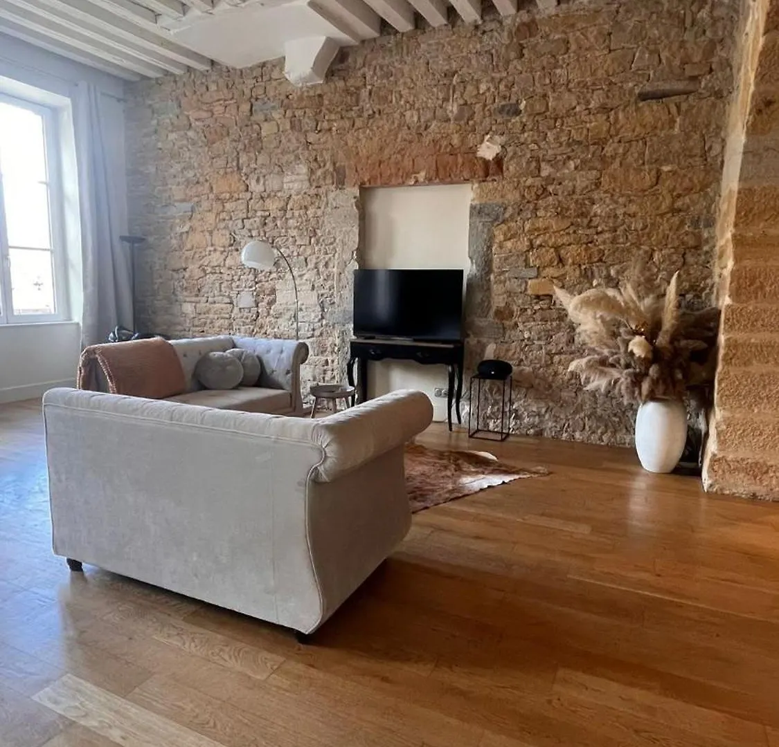 Le Panorama Διαμέρισμα Λυών