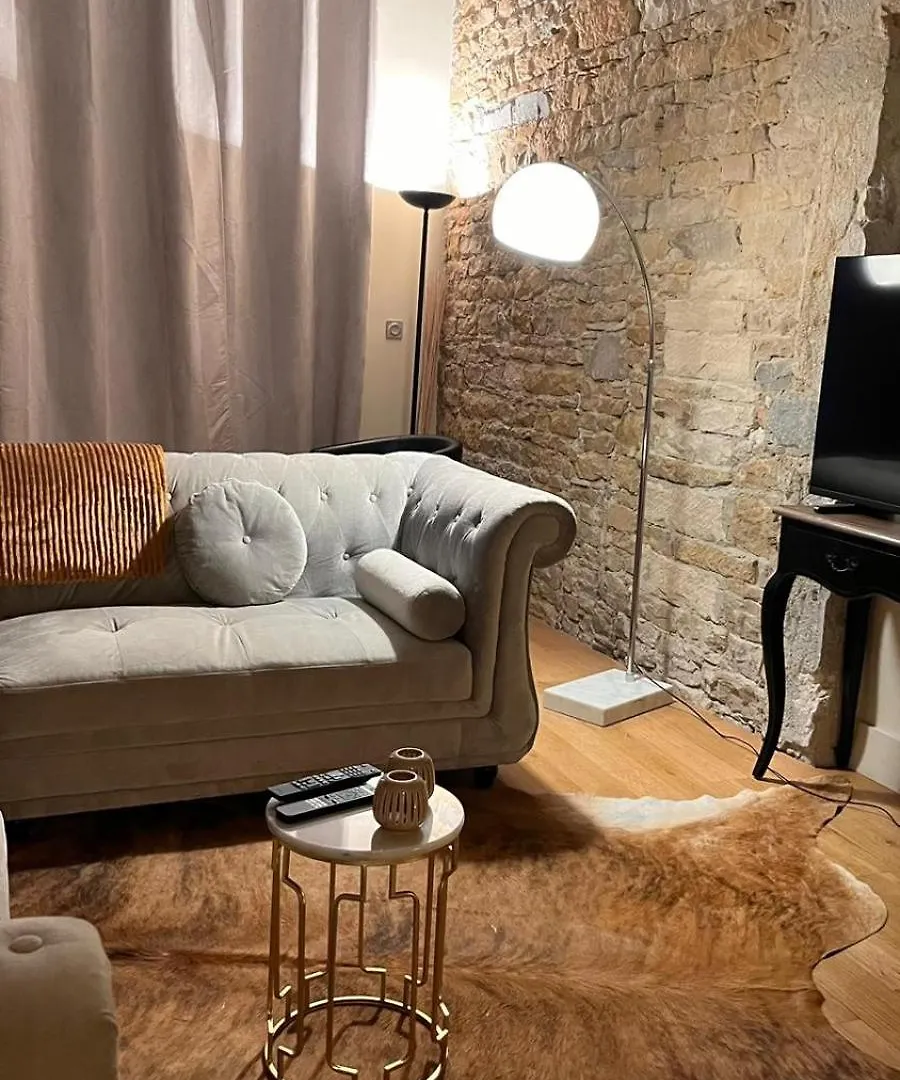 Le Panorama Apartamento Lyon